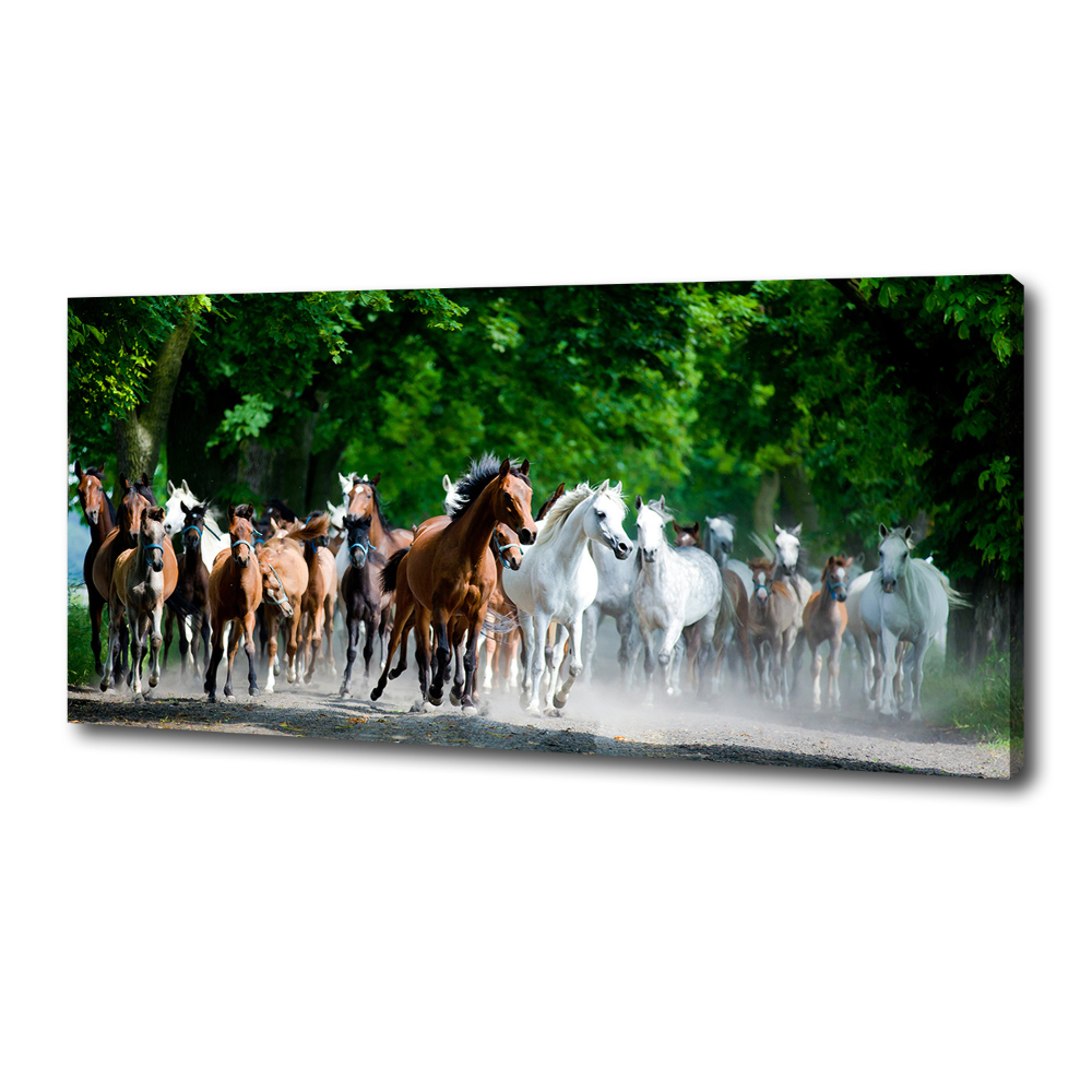 Canvas wall art Horses at gallop