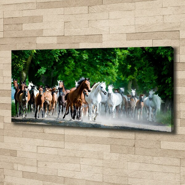 Canvas wall art Horses at gallop