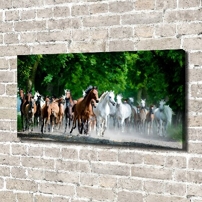 Canvas wall art Horses at gallop