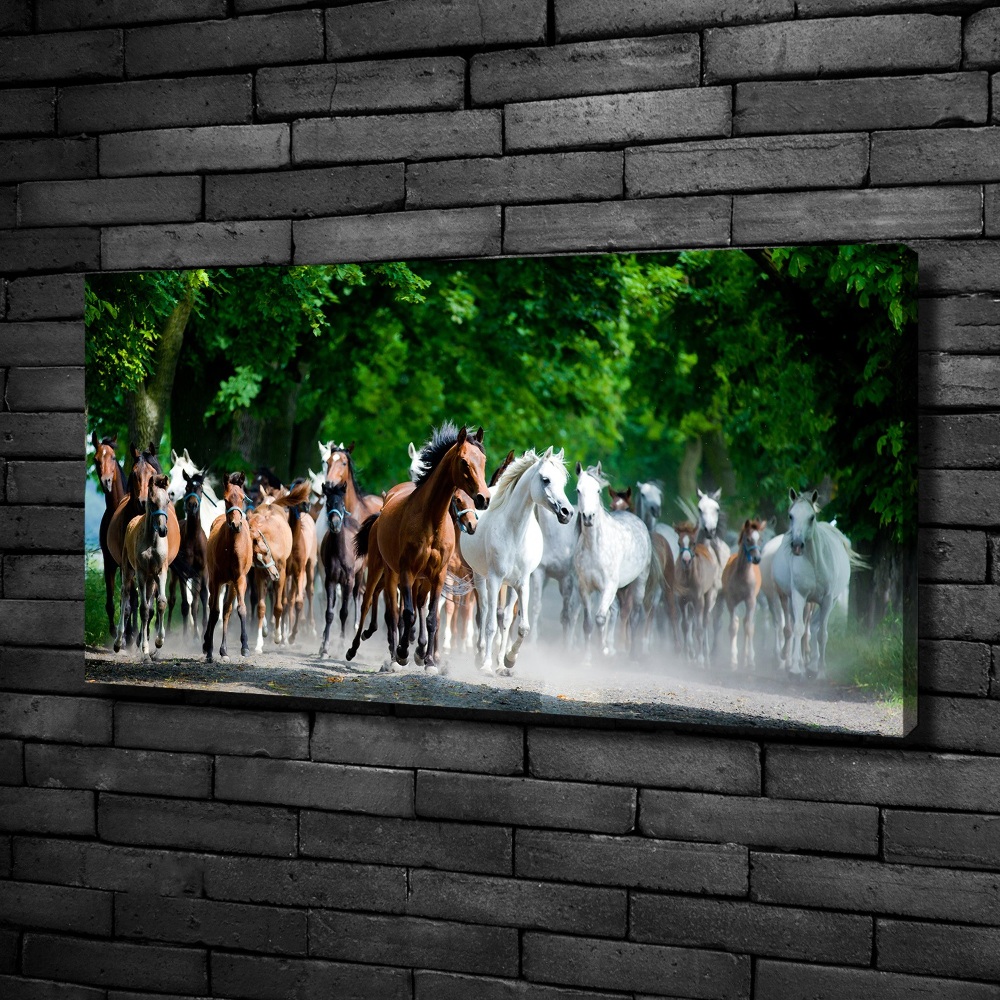 Canvas wall art Horses at gallop