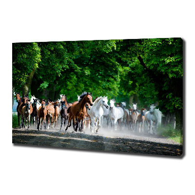 Canvas wall art Horses at gallop