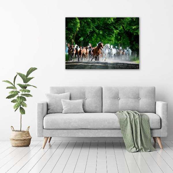 Canvas wall art Horses at gallop