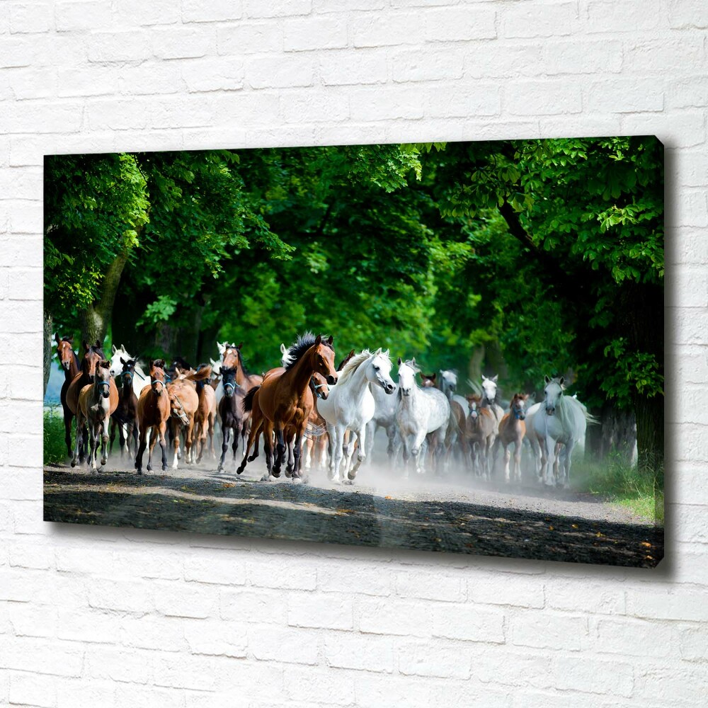 Canvas wall art Horses at gallop