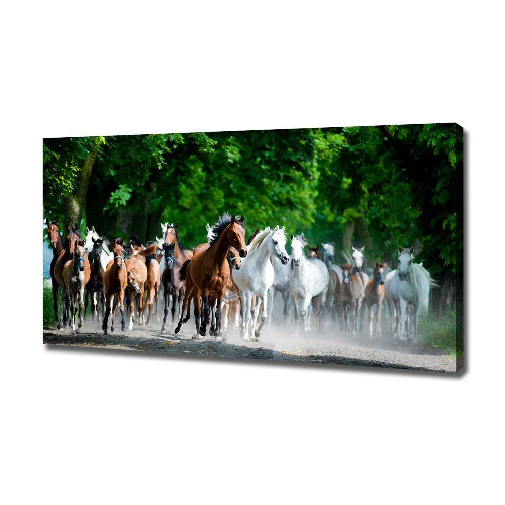 Canvas wall art Horses at gallop