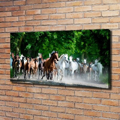 Canvas wall art Horses at gallop