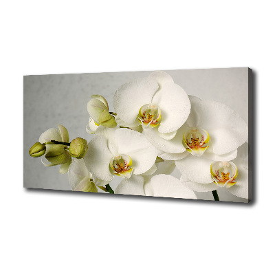 Canvas wall art White orchid