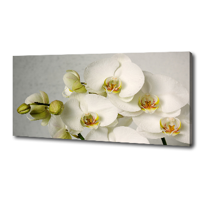 Canvas wall art White orchid