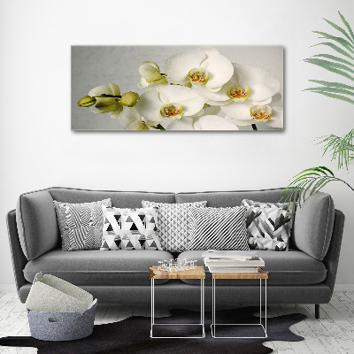 Canvas wall art White orchid