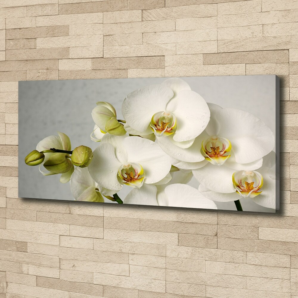 Canvas wall art White orchid