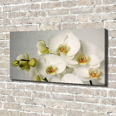 Canvas wall art White orchid