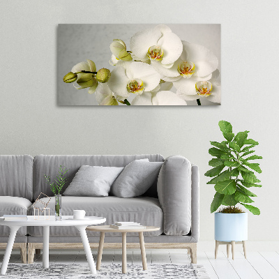 Canvas wall art White orchid