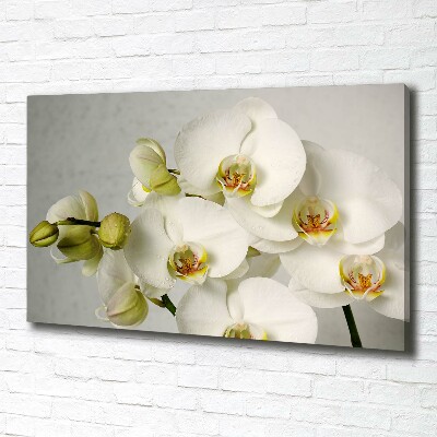 Canvas wall art White orchid