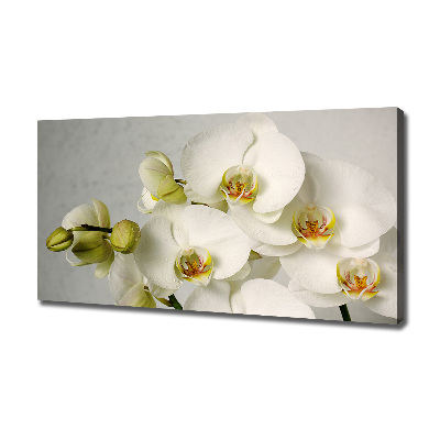 Canvas wall art White orchid