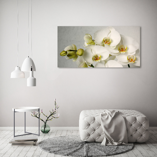 Canvas wall art White orchid