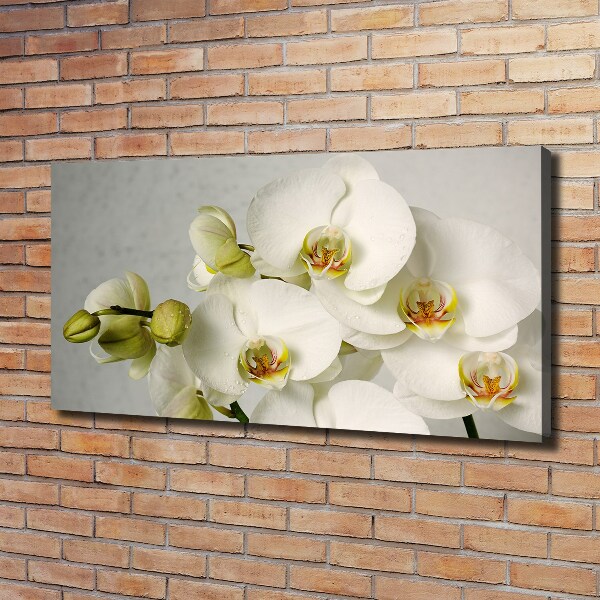 Canvas wall art White orchid