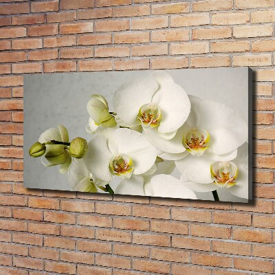 Canvas wall art White orchid