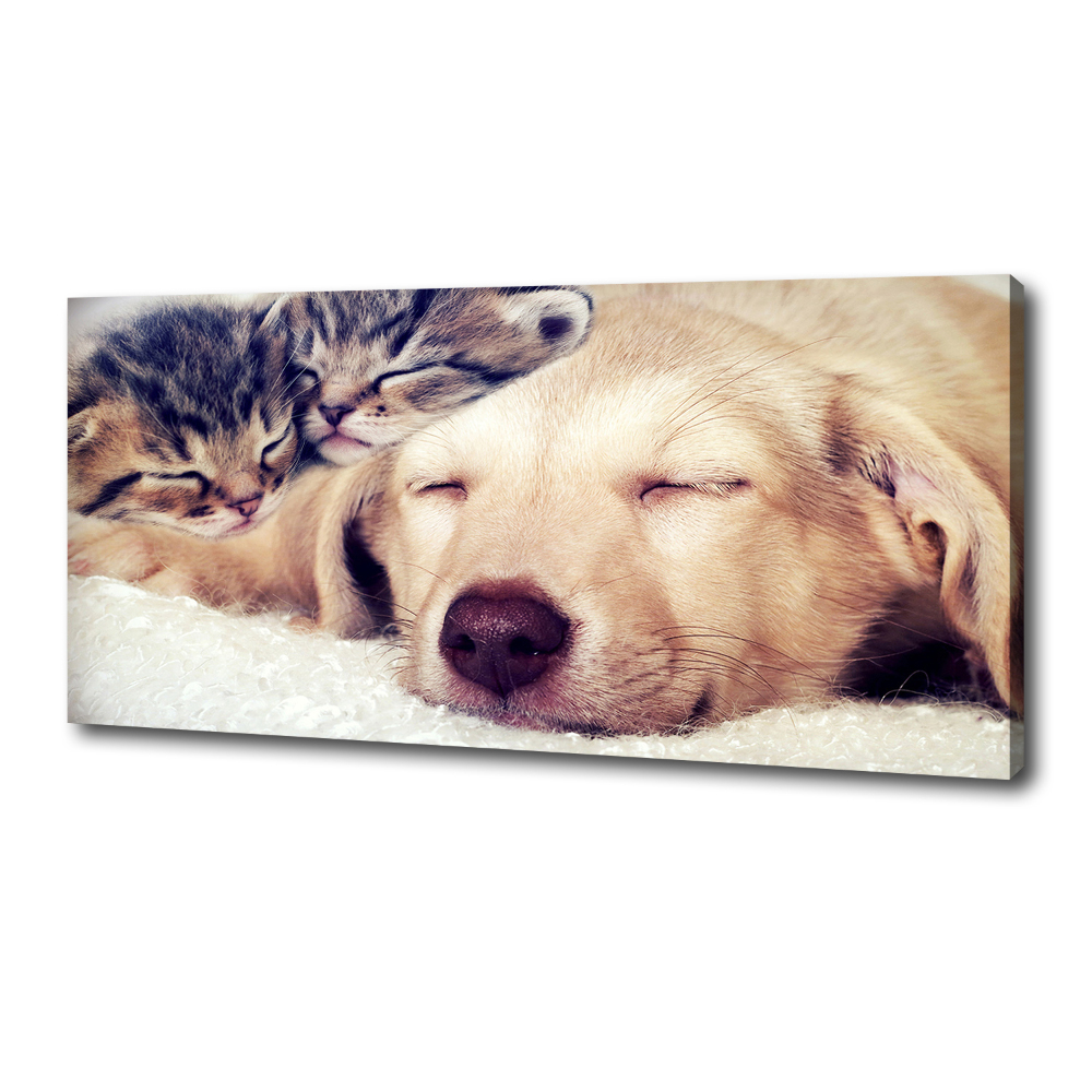 Canvas wall art Puppy and cats