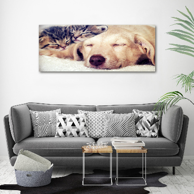 Canvas wall art Puppy and cats