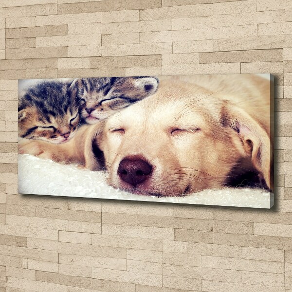 Canvas wall art Puppy and cats