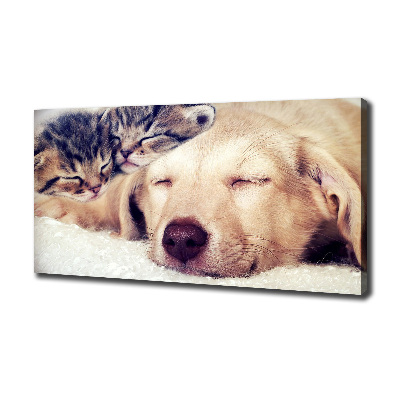 Canvas wall art Puppy and cats