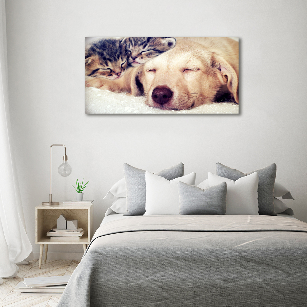 Canvas wall art Puppy and cats