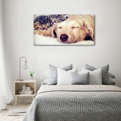 Canvas wall art Puppy and cats