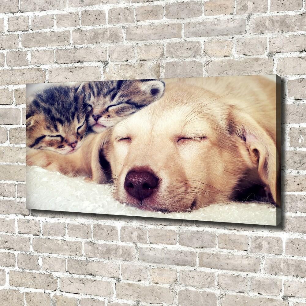 Canvas wall art Puppy and cats