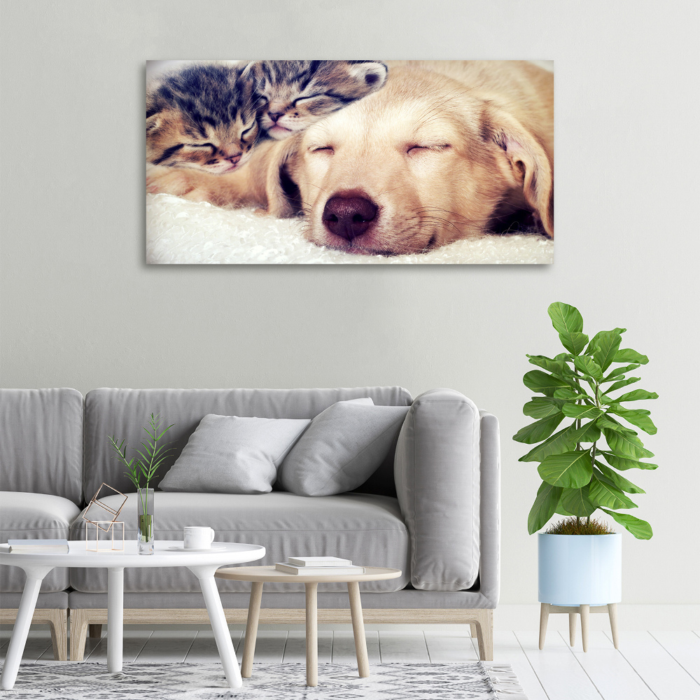 Canvas wall art Puppy and cats