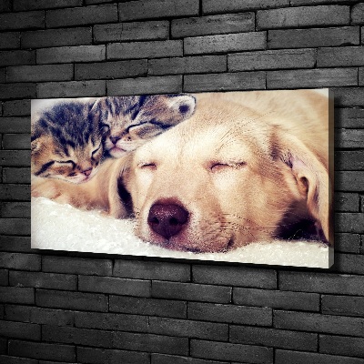 Canvas wall art Puppy and cats