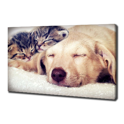 Canvas wall art Puppy and cats