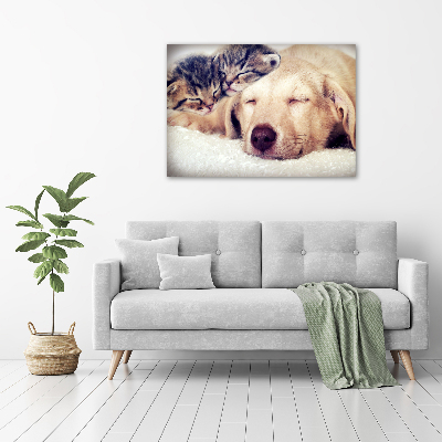 Canvas wall art Puppy and cats