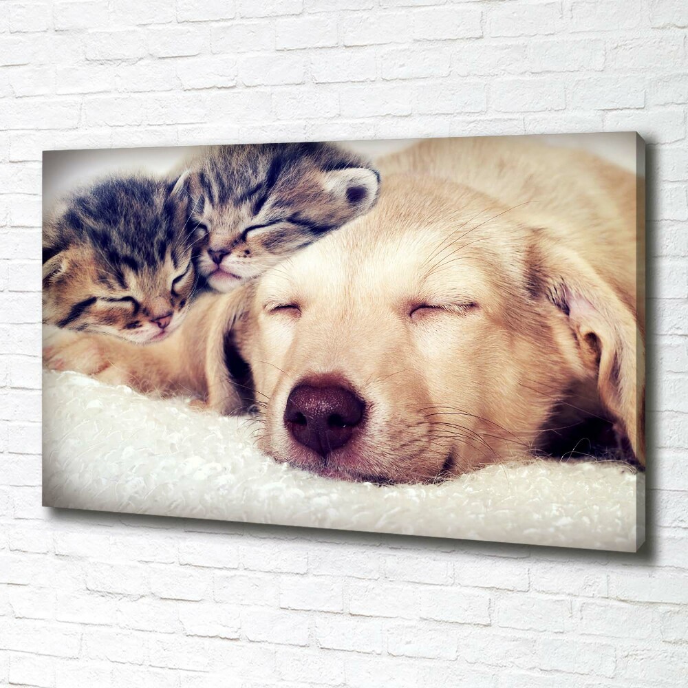 Canvas wall art Puppy and cats