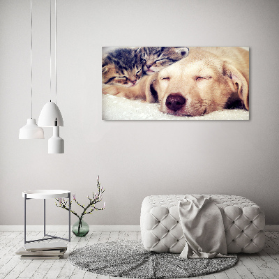 Canvas wall art Puppy and cats