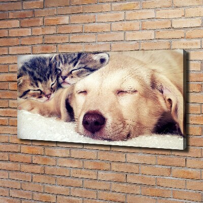 Canvas wall art Puppy and cats