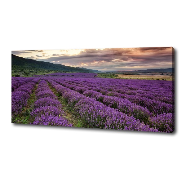 Canvas wall art Lavender field