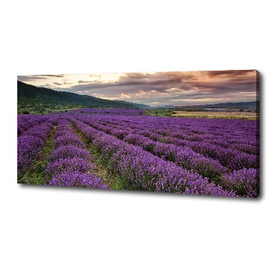 Canvas wall art Lavender field