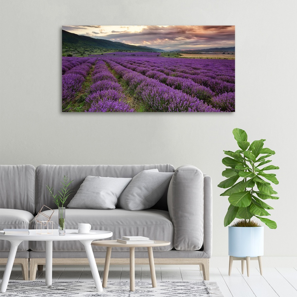 Canvas wall art Lavender field