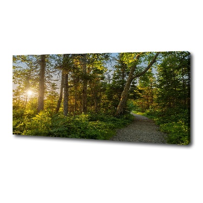 Canvas wall art Forest