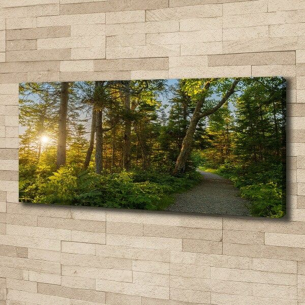 Canvas wall art Forest