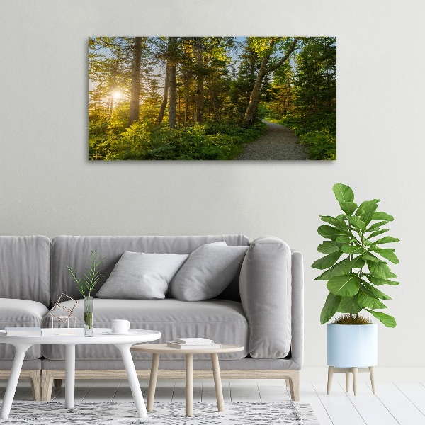 Canvas wall art Forest