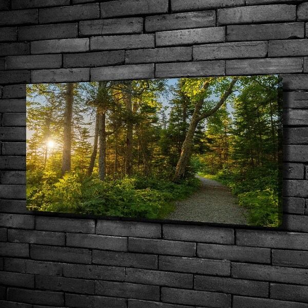 Canvas wall art Forest