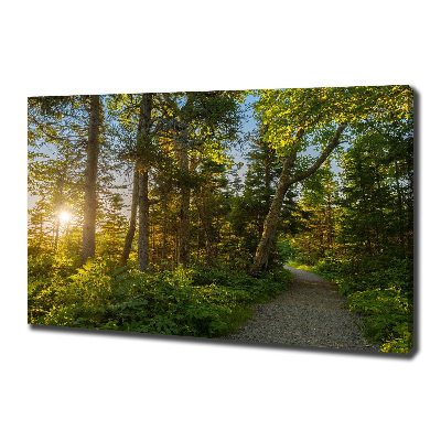 Canvas wall art Forest