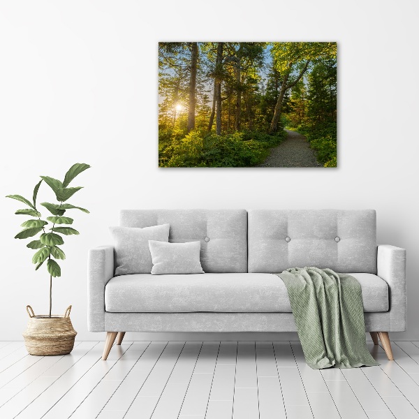 Canvas wall art Forest