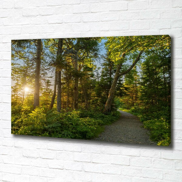 Canvas wall art Forest