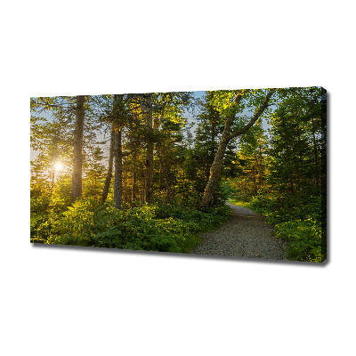 Canvas wall art Forest