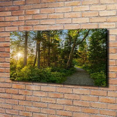 Canvas wall art Forest