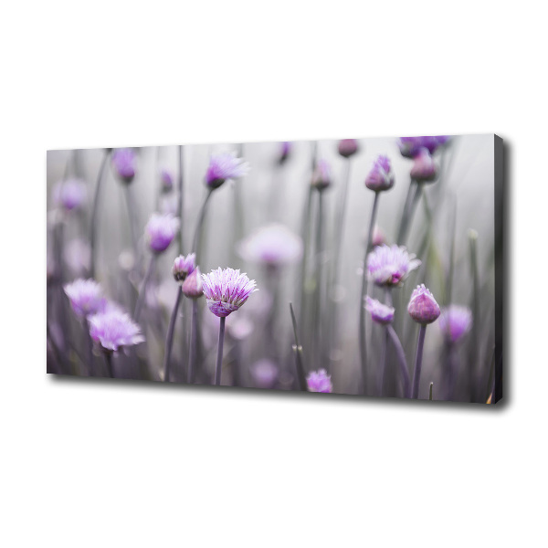 Chives flowers