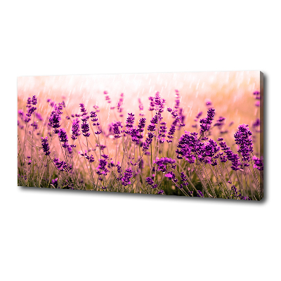 Canvas wall art Lavender