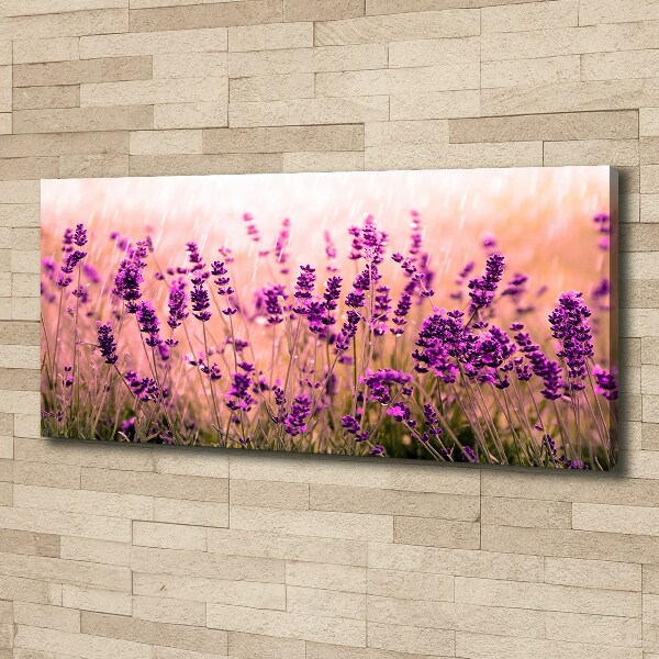 Canvas wall art Lavender