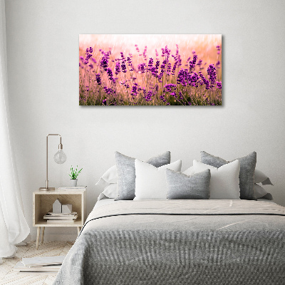 Canvas wall art Lavender